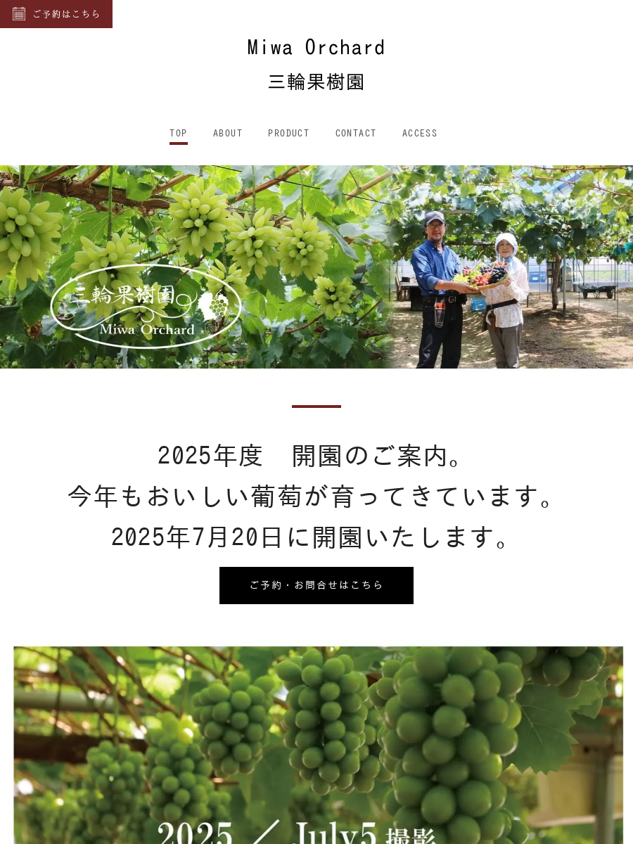 果実園(*^ω^*) みかんゼリー・ジュレの通販なら和歌山有田の伊藤農園